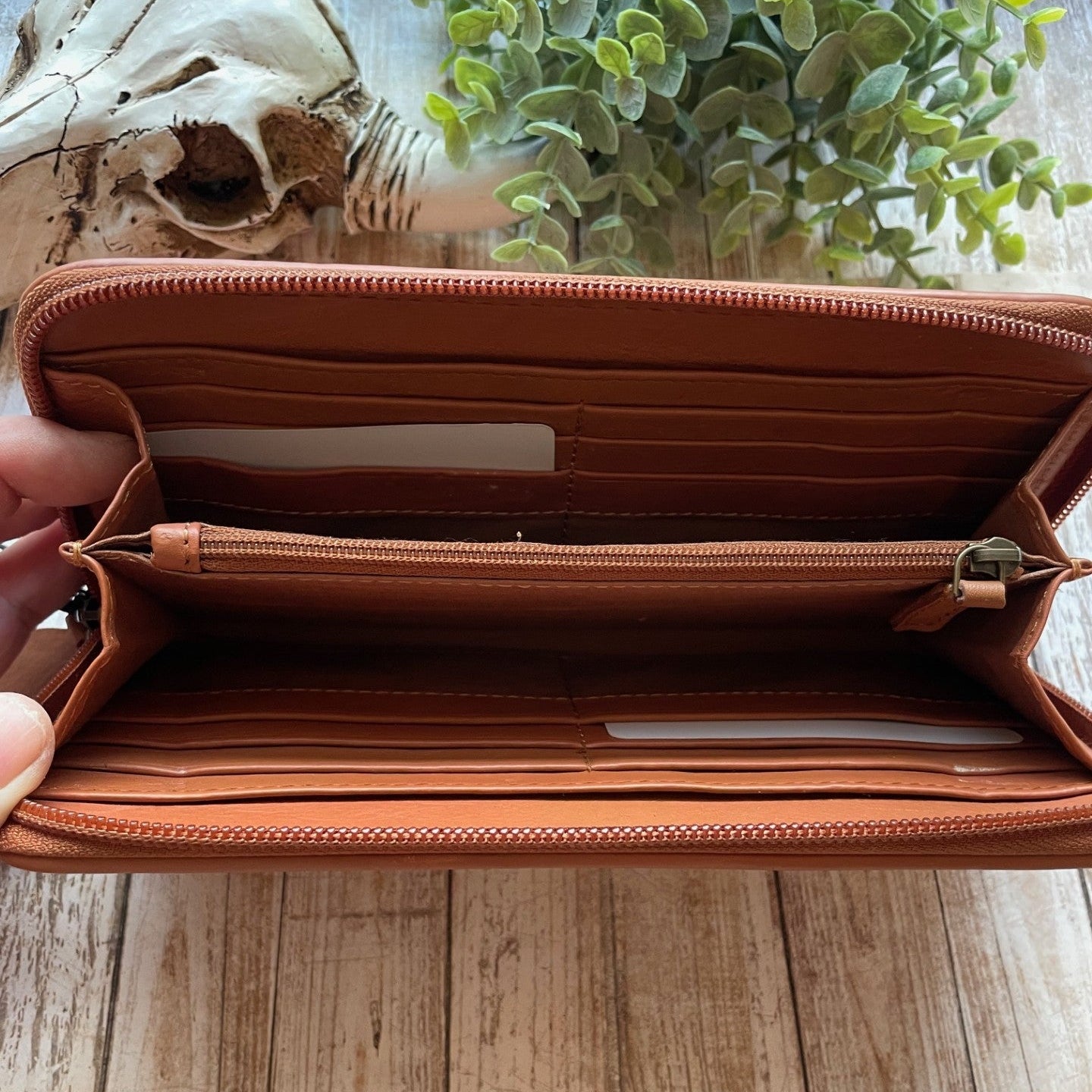 Open brown leather wallet on a wooden surface with a plant in the background